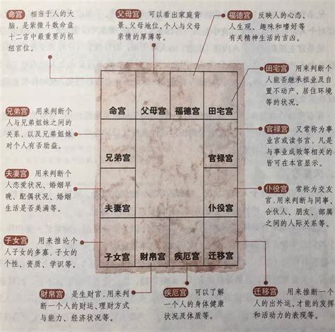 命主|紫微斗数